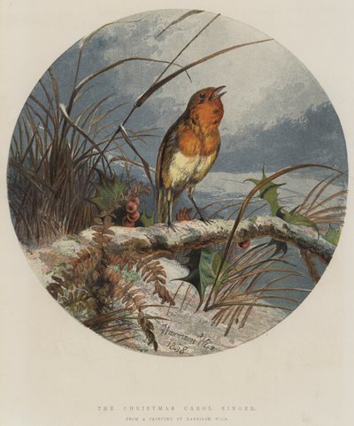 Il Cantante di Canti di Natale da Harrison William Weir